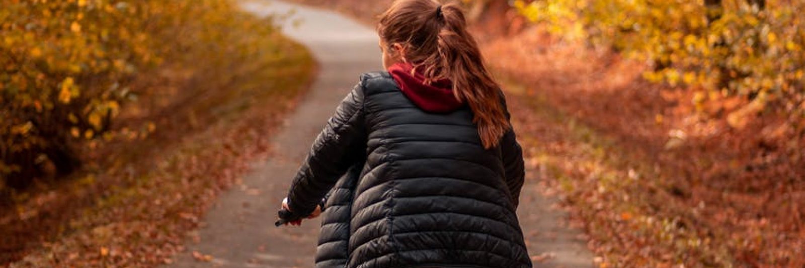 wood road landscape people